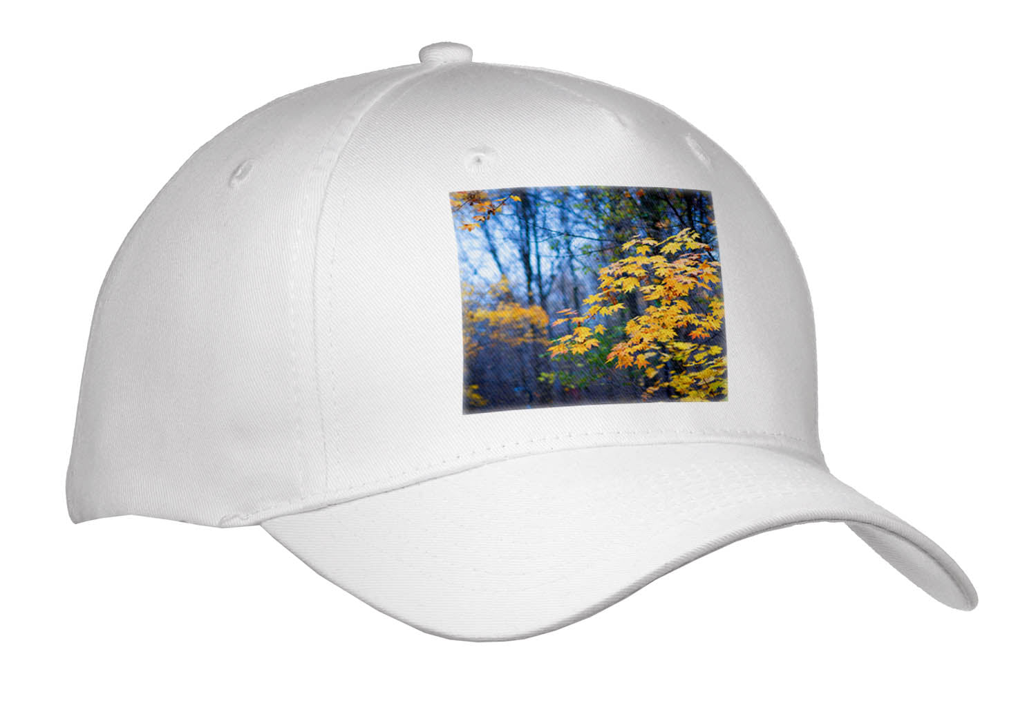 3dRose Yellow Maple Leaves on a Rainy Autumn Day in The Park - Caps (Cap_336584)