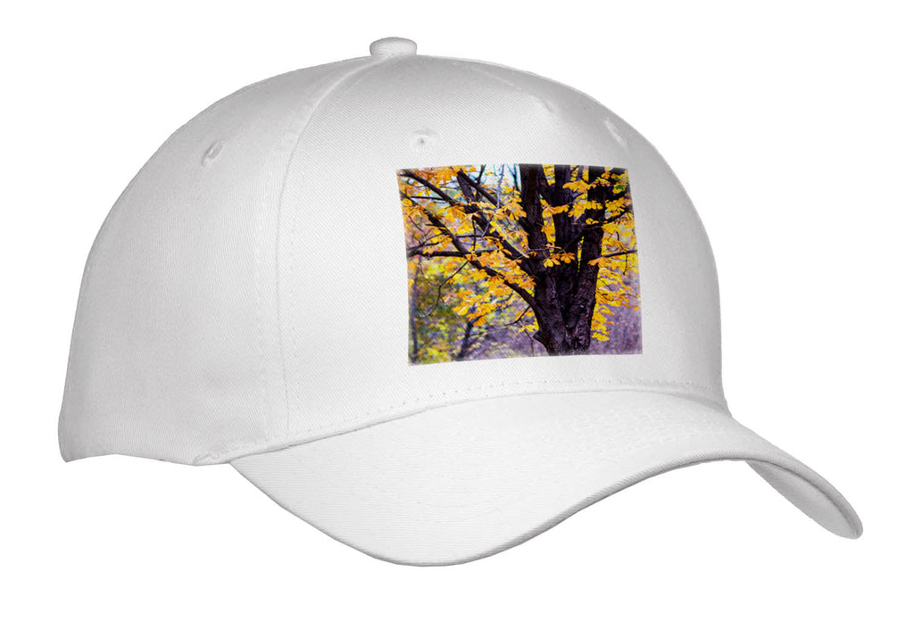 3dRose A Chestnut Tree in The Golden Autumn Season. Yellow, Brown Colors - Caps (Cap_336588)