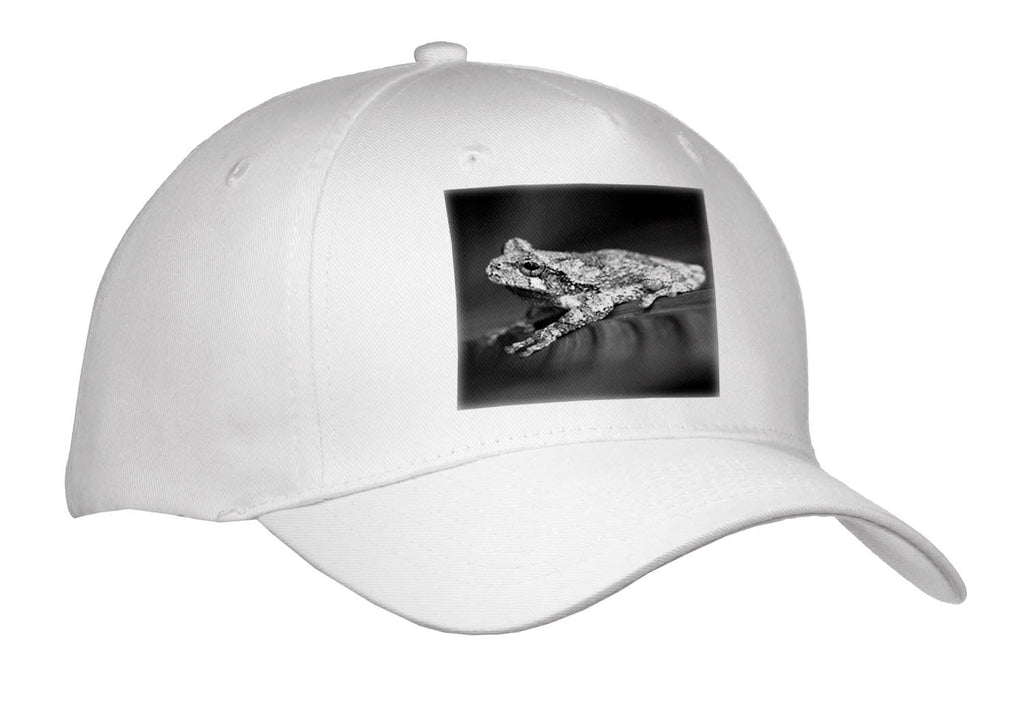 3dRose Black and white macro photograph of a gray tree frog on a canna leaf. - Caps (cap_336654)