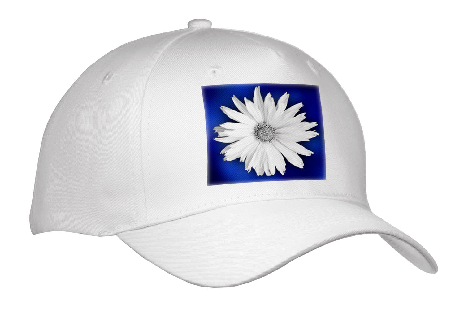 3dRose Photograph of a White Maximilian Sunflower on a Blue Background. - Caps (Cap_336720)