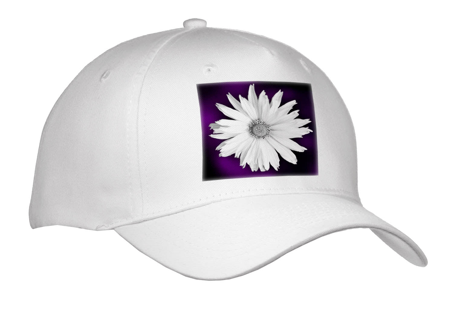 3dRose Photograph of a White Maximilian Sunflower on a Purple Background. - Caps (Cap_336721)