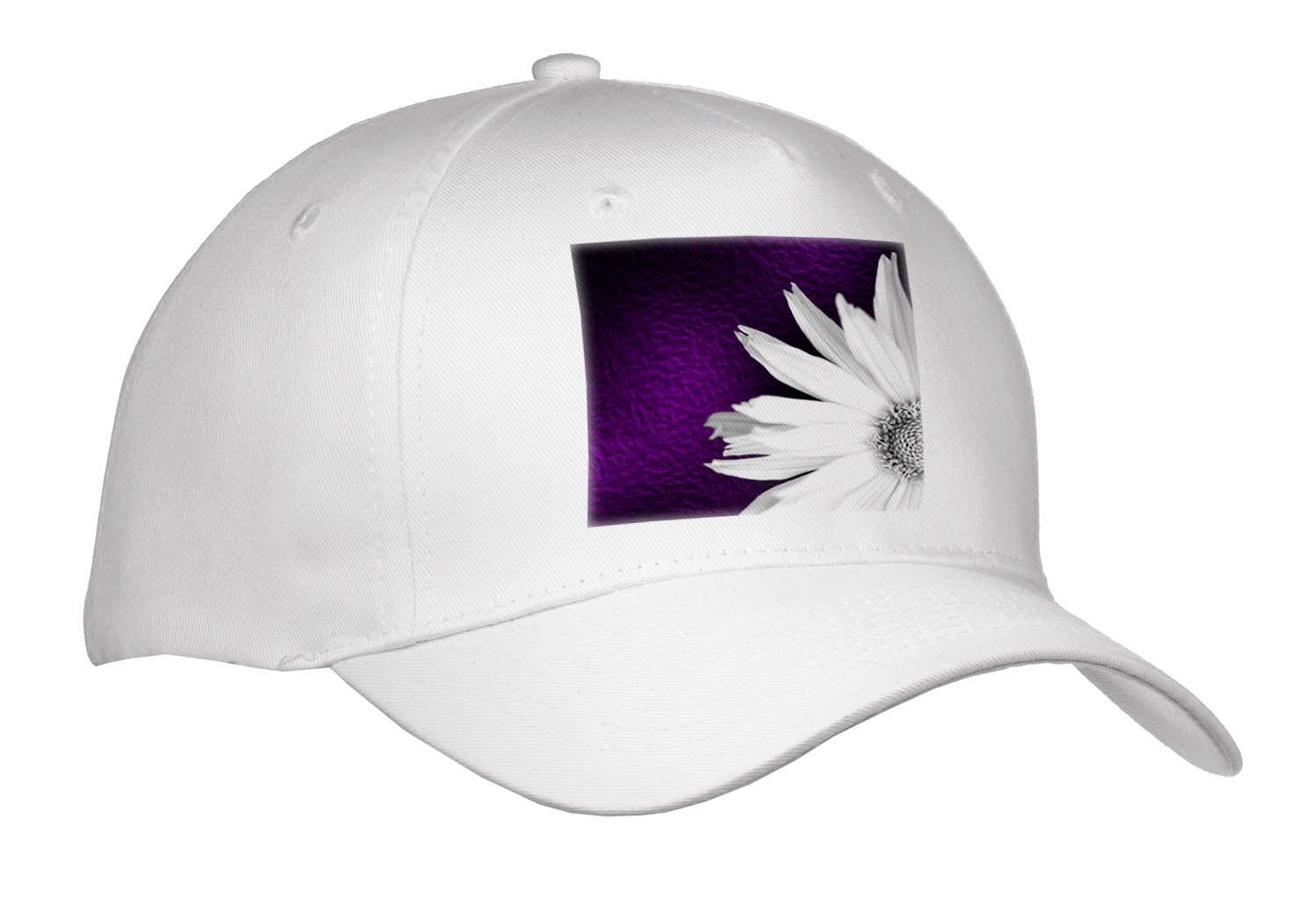 3dRose Photograph of The Corner of a White Maximilian Sunflower on Purple. - Caps (Cap_336722)