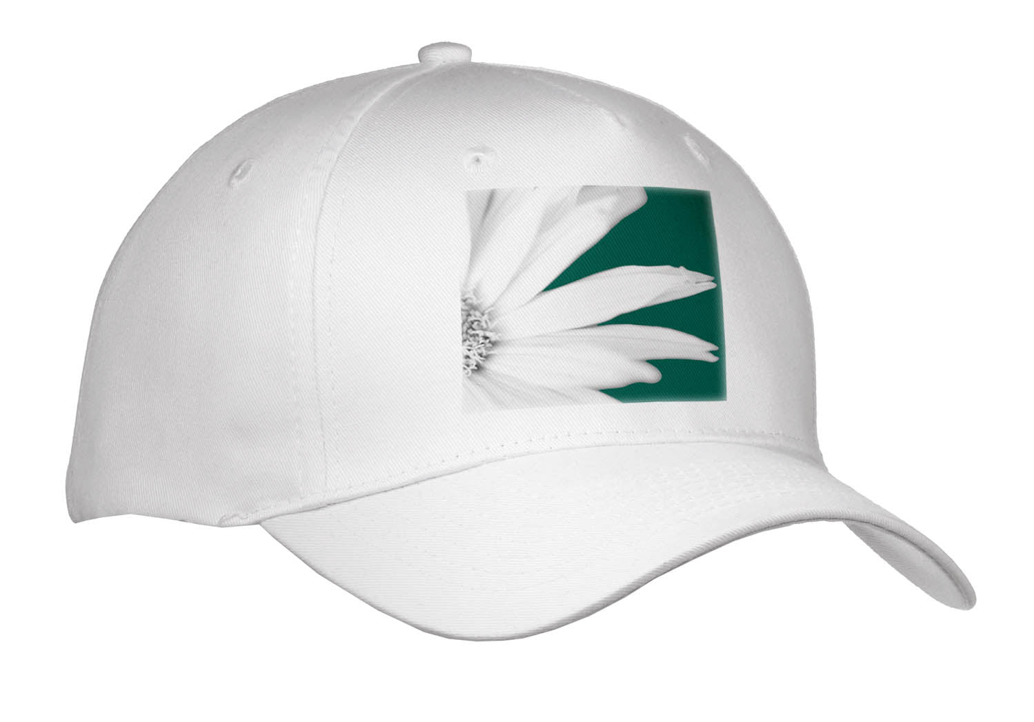 3dRose Photo of White Maximilian Sunflower Petals on a Green Background. - Caps (Cap_336726)