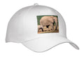 3dRose Danita Delimont - Elephants - South Africa, Addo Elephant NP, Baby Elephant-AF42 PSO0143 - Paul Souders - Caps