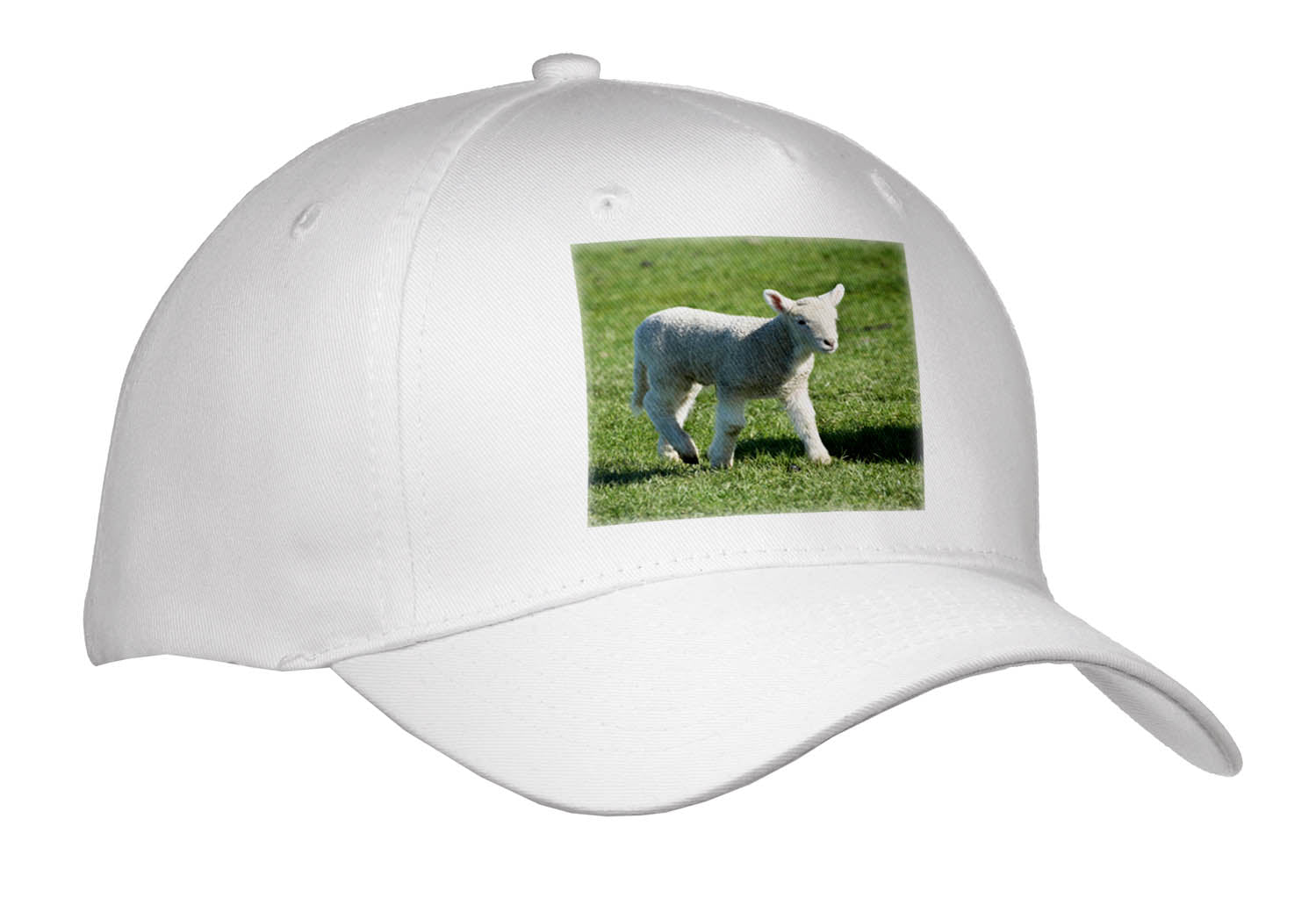 Danita Delimont - Farm Animals - Lamb, Farm Animal, Otago, South Island, New Zealand-AU02 DWA6509 - David Wall - Caps