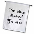 3dRose EvaDane - Funny Quotes - I’m This Many x40 - Flags (fl_157359)