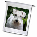3dRose Dogs Schnauzer - White Schnauzer - Flags (fl_4275)