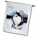 3dRose Dogs Siberian Husky - Siberian Husky - Flags
