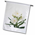 3dRose Taiche - Photography - Oleander - Oleander White - white, flower, tree, oleander, blossom, tropical plant, buds - Flags (fl_46838)