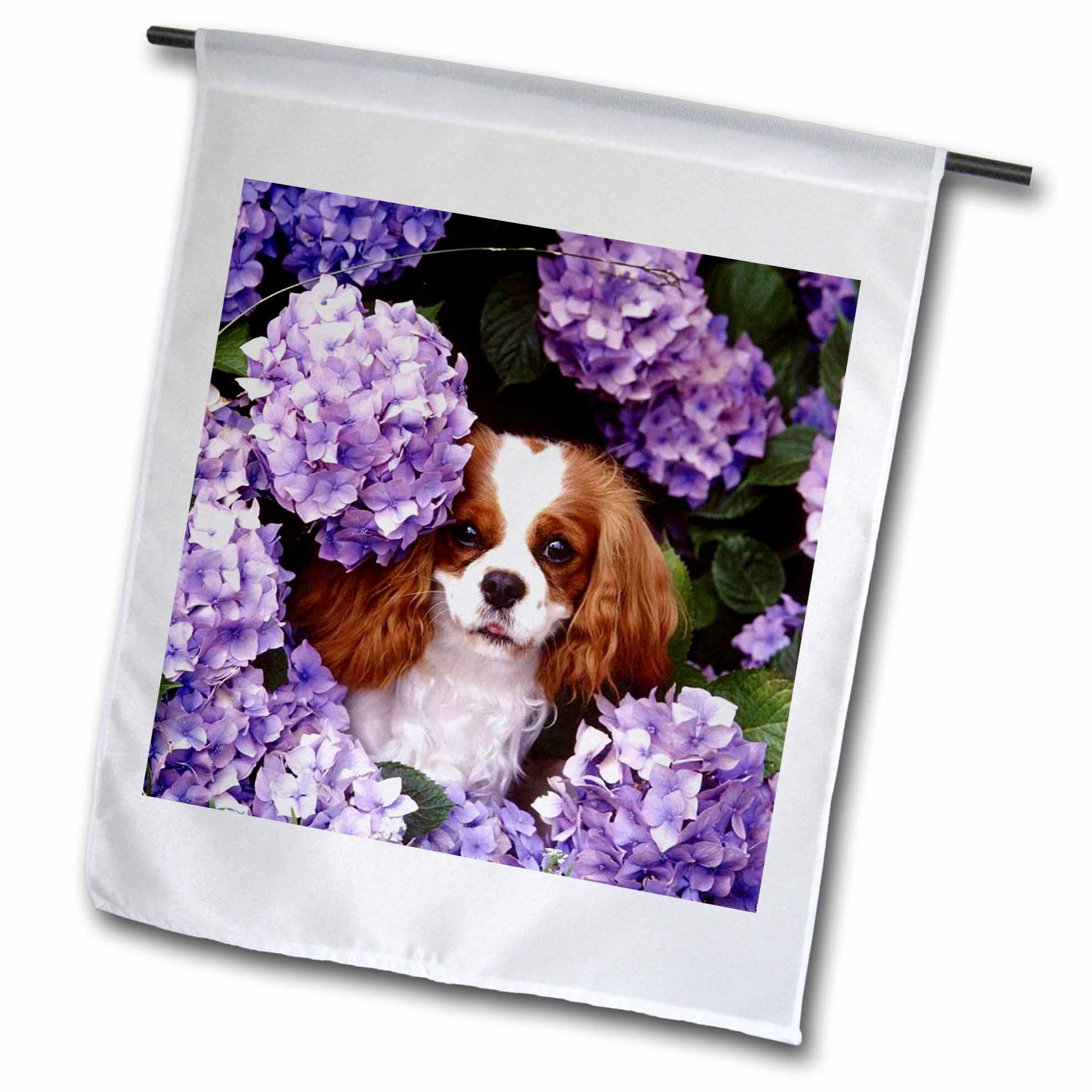 3dRose Florene Dog - Cavalier King Charles Spaniel - Flags (fl_61913)