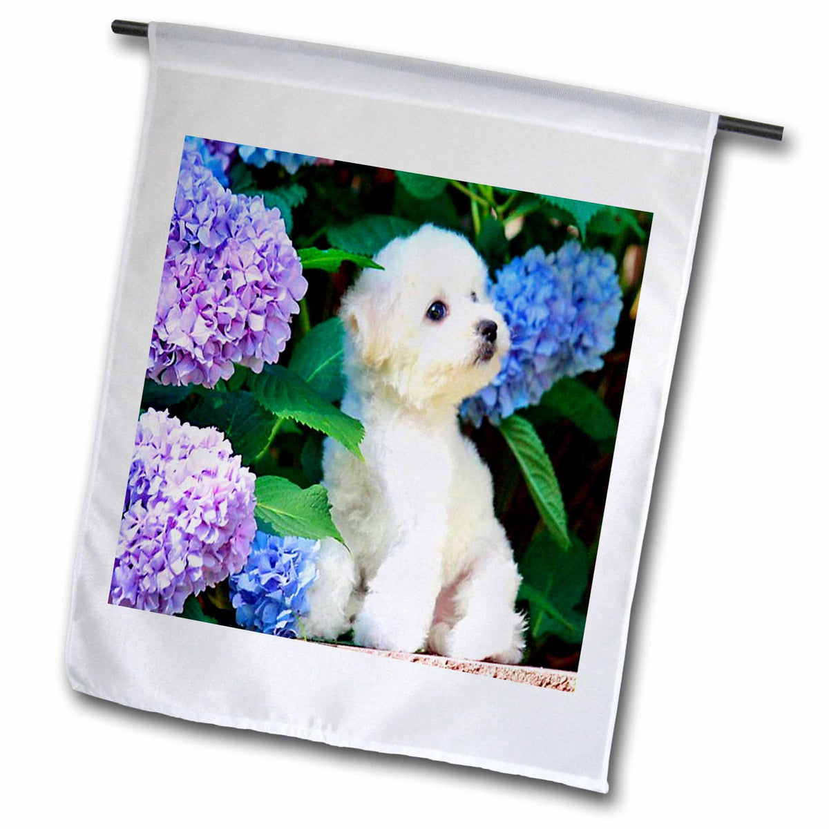 3dRose Florene Dog - Adorable Bichon Frise Puppy Among Hydrangeas - Flags (fl_80886)