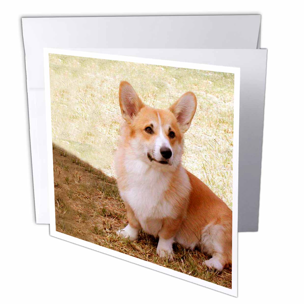 3dRose Dogs Corgi - Pembroke Welsh Corgi - Greeting Cards (gc_1065)