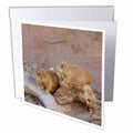 3dRose Florene Nature n Animals - Groundhog Day - Greeting Cards (gc_17160)