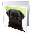 3dRose Jackie Popp Nature N Wildlife animals - Pug Puppy - Greeting Cards (gc_21198)