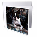 Dogs Boston Terrier - Boston Terrier Philippe - Greeting Cards