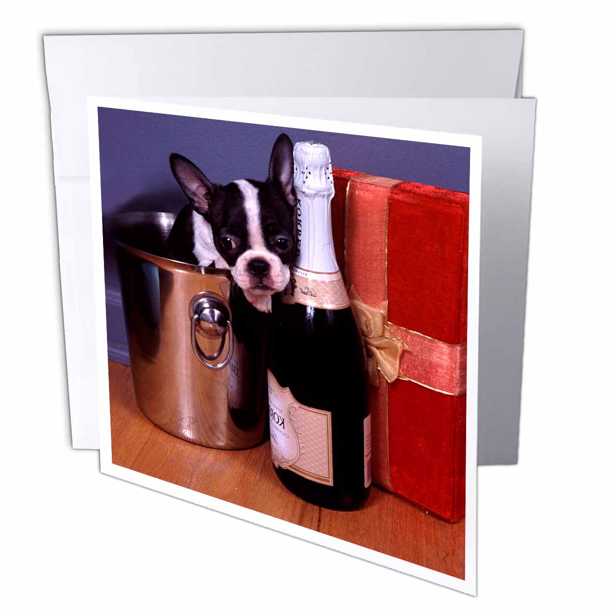 3dRose Dogs Boston Terrier - Boston Terrier Satine - Greeting Cards (gc_3113)