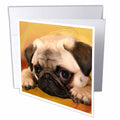3dRose Dogs Pug - Pug - Greeting Cards (gc_3644)