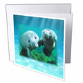 3dRose Florene Underwater Animals - 2 Manatees looking At You - Greeting Cards (gc_39647)