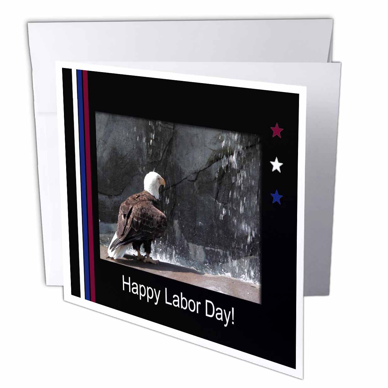 Beverly Turner Labor Day Design - Labor Day, Eagle by Waterfall - Greeting Cards