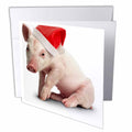 3dRose Holidays - Christmas Pig - Greeting Cards (gc_4574)
