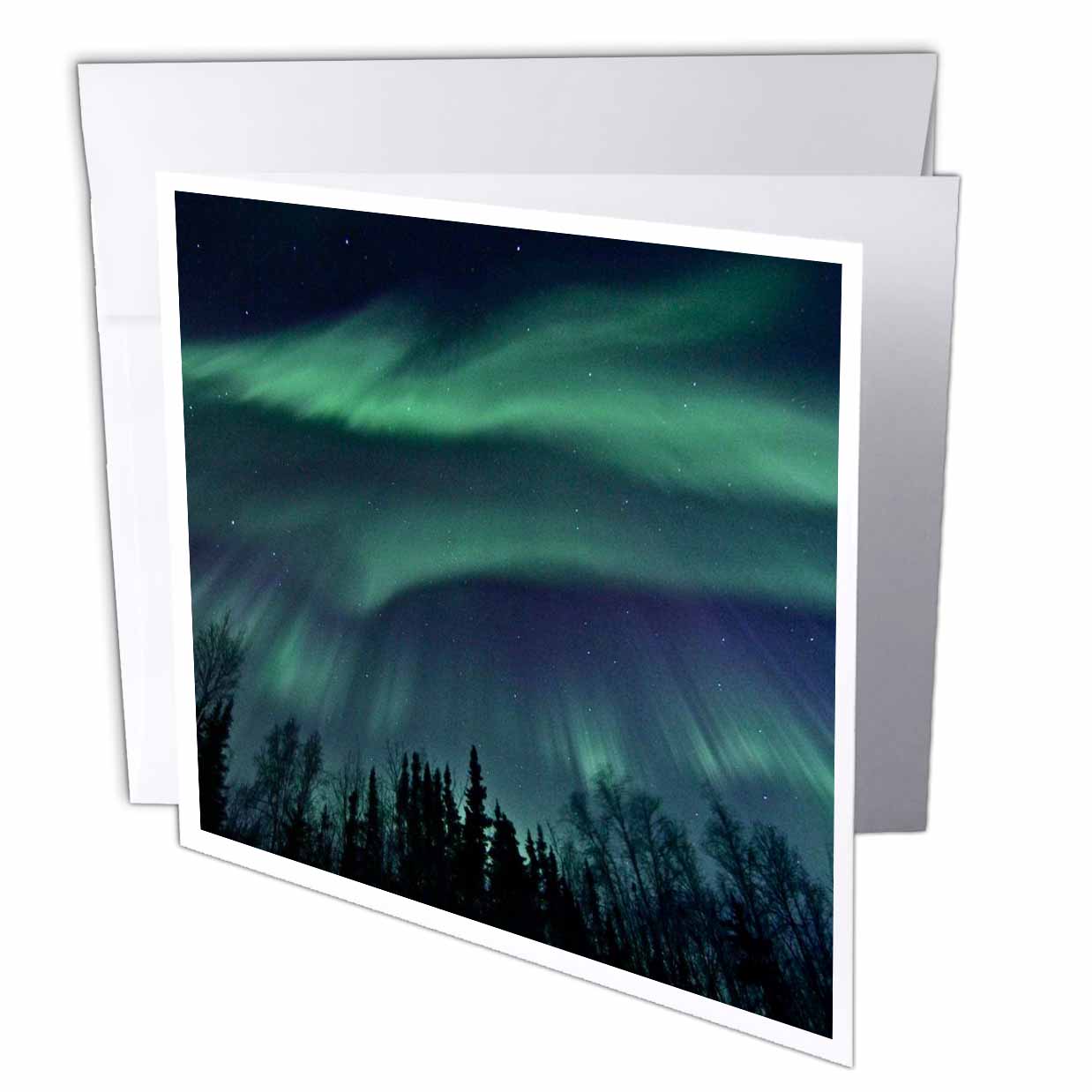 Sandy Mertens Alaska - Northern Lights in Shade of Green Amongst a Dark Blue Night Sky - Greeting Cards