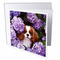 3dRose Florene Dog - Cavalier King Charles Spaniel - Greeting Cards (gc_61913)