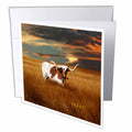 3dRose Florene America The Beautiful - A Texas Longhorn - Greeting Cards (gc_62229)
