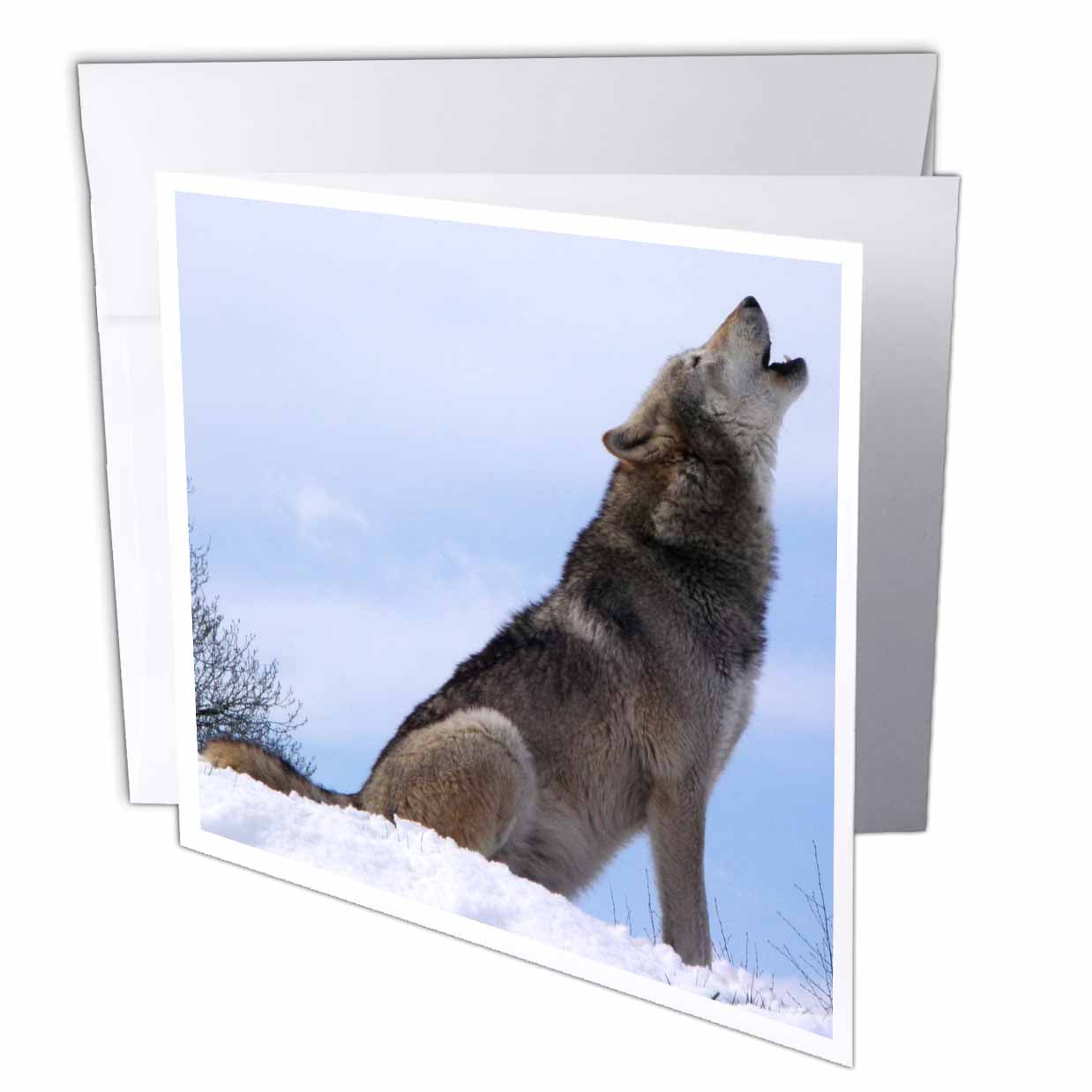 3dRose Florene Animals - The Wolf Howling - Greeting Cards (gc_62431)