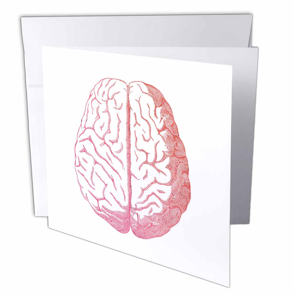 3dRose TNMGraphics Anatomy - Pink Brain - Greeting Cards (gc_62702)