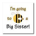 3dRose EvaDane - Funny Quotes - I’m Going to be a Big Sister - Iron on Heat Transfers (ht_157417)