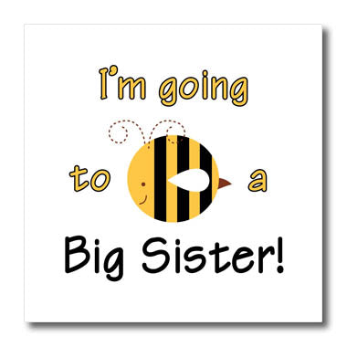 3dRose EvaDane - Funny Quotes - I’m Going to be a Big Sister - Iron on Heat Transfers (ht_157417)