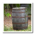 3dRose Susans Zoo Crew Photography - Wooden Barrel Frond Near - Iron on Heat Transfers (ht_178653)