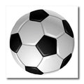 3dRose Sandy Mertens Outdoor Sports Designs - Soccer Ball - Iron on Heat Transfers (ht_6254)