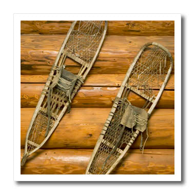 3dRose Danita Delimont - Winter - Old Snow Shoes, Winter, British Columbia-CN02 PCL0304 - Paul Colangelo - Iron on Heat Transfers (ht_76334)