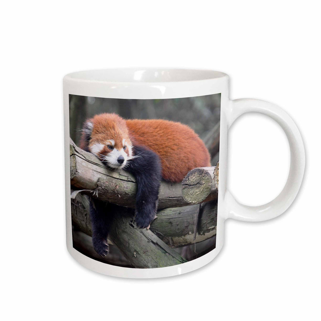 3dRose Two Tone Mug