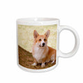 3dRose Dogs Corgi - Pembroke Welsh Corgi - Mugs (mug_1065)