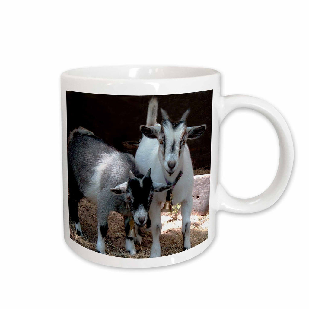 3dRose Farm Animals - Pygmy Goat - Mugs (mug_1068)