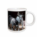 3dRose Farm Animals - Pygmy Goat - Mugs (mug_1068)