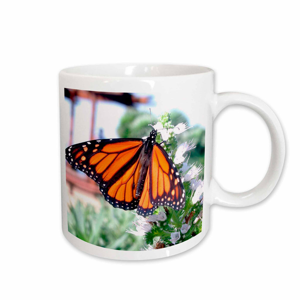 3dRose Butterflies - Monarch Butterfly - Mugs (mug_1106)