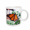 3dRose Butterflies - Monarch Butterfly - Mugs (mug_1106)
