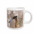 3dRose Beverly Turner Photography - Beautiful Dragonfly - Mugs (mug_11560)