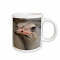 3dRose Silly Cute Ostrich Face Nature Animal Photo - Mugs (mug_116211)