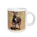 3dRose Farm Animals - Miniature Donkey - Mugs (mug_1236)