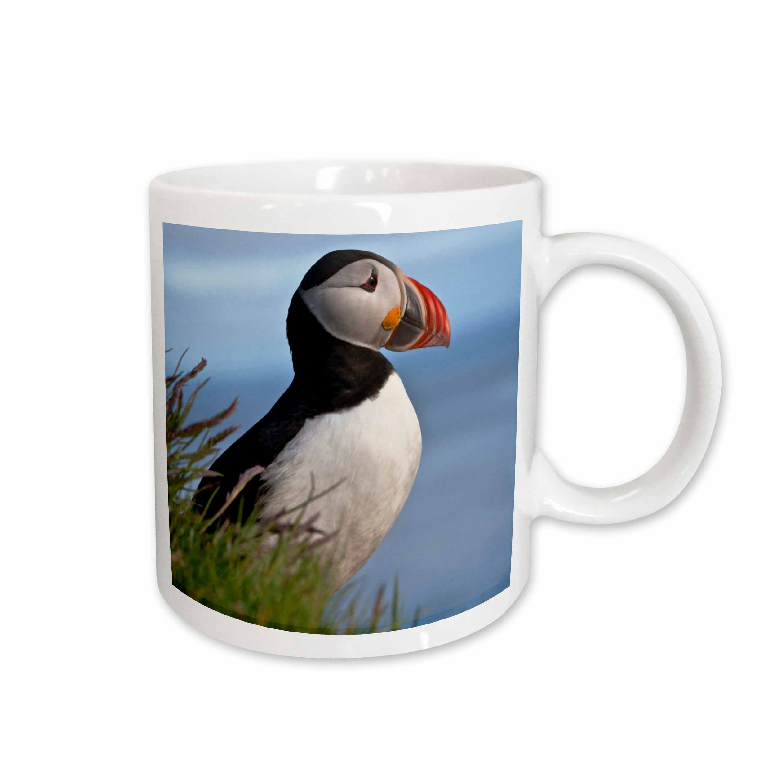 3dRose Atlantic Puffin bird, Latrabjarg, Vestfirdhir, Iceland - EU14 KSU0021 -... - Mugs (mug_137422)