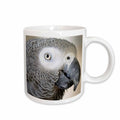 3dRose African Grey Parrot tropical bird - NA02 MFR0001 - MFR - Mugs (mug_140254)