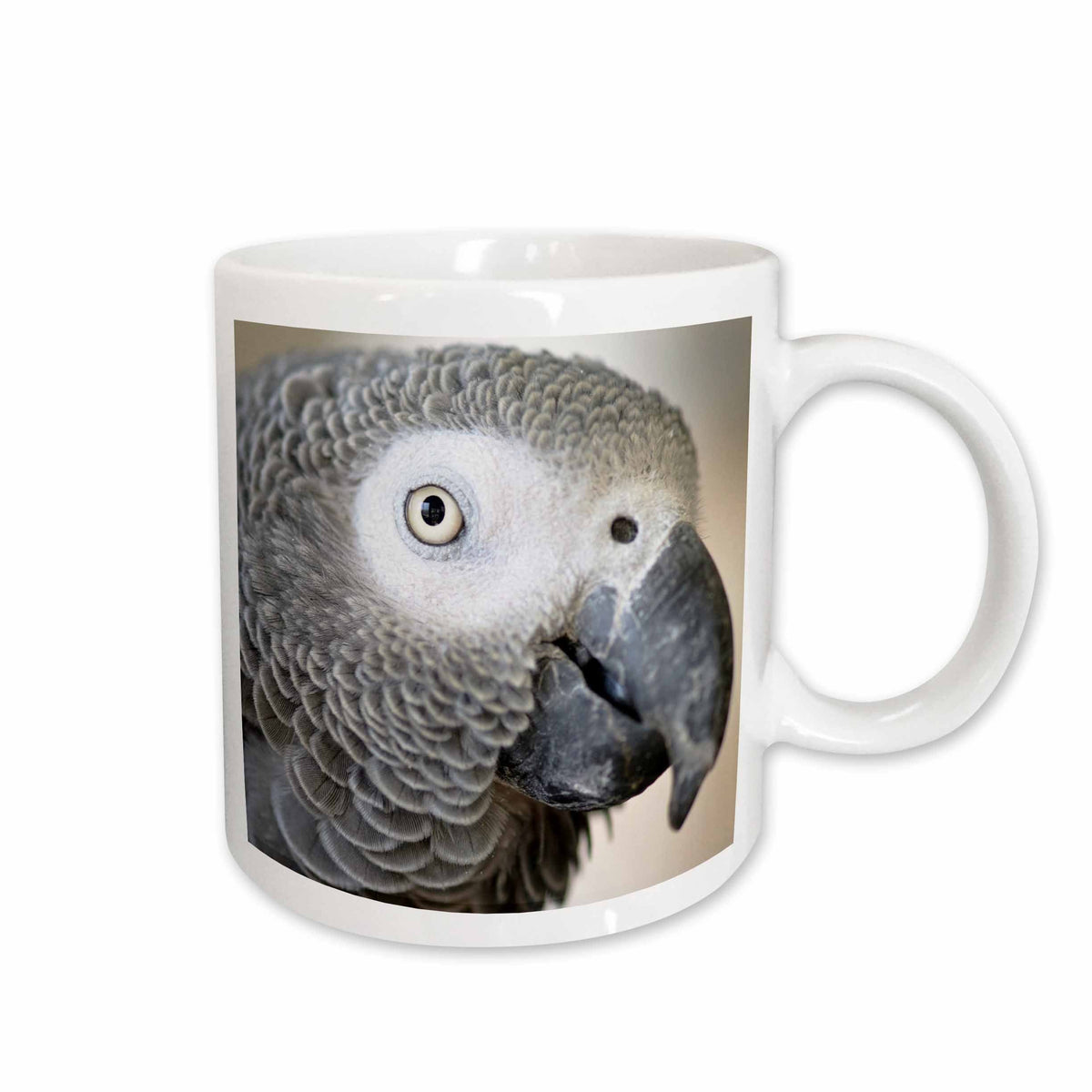 3dRose African Grey Parrot tropical bird - NA02 MFR0001 - MFR - Mugs (mug_140254)