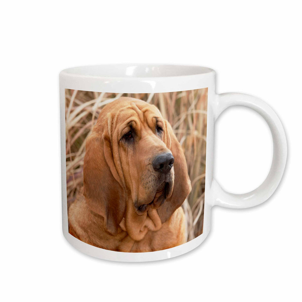 3dRose Purebred Bloodhound dog in dried grass - NA02 PWO0075 - PiperAnne... - Mugs (mug_140323)