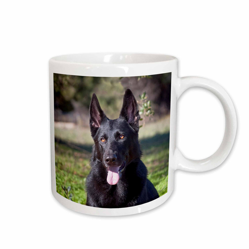 3dRose Portrait of a German Shepherd dog - NA02 ZMU0133 - Zandria Muench Beraldo - Mugs (mug_140413)