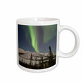 3dRose Aurora borealis, Northern Lights, Alaska, USA - US02 HRO0382 - Hugh Rose - Mugs (mug_141866)