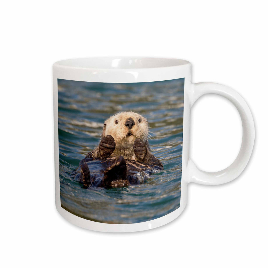 3dRose Sea Otter, Prince William Sound, Alaska, USA - US02 HRO0648 - Hugh Rose - Mugs (mug_141914)